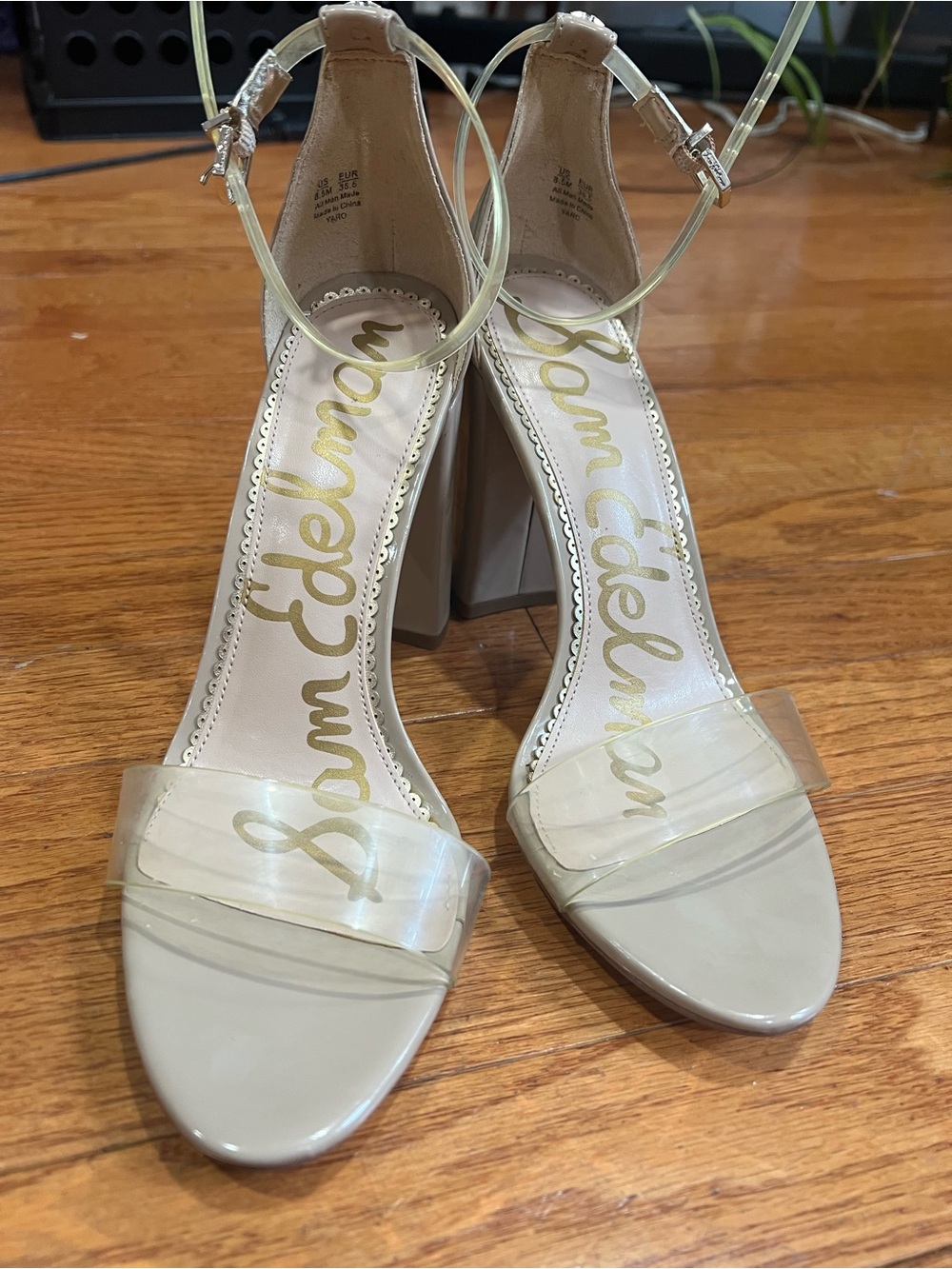 Sam Edelman Clear Strap Block Heel Sandals in Nude